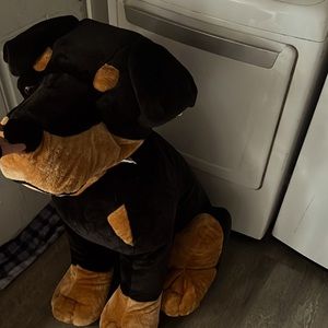 Hey I’m willing to sell this 4 feet dog, for 80$